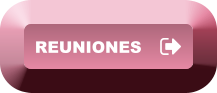 REUNIONES REUNIONES