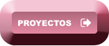 PROYECTOS PROYECTOS