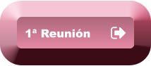 1ª Reunión 1ª Reunión